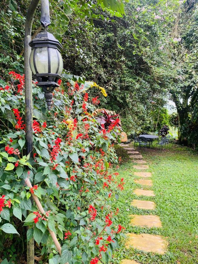 Finca Hotel Los Girasoles Montenegro Dış mekan fotoğraf
