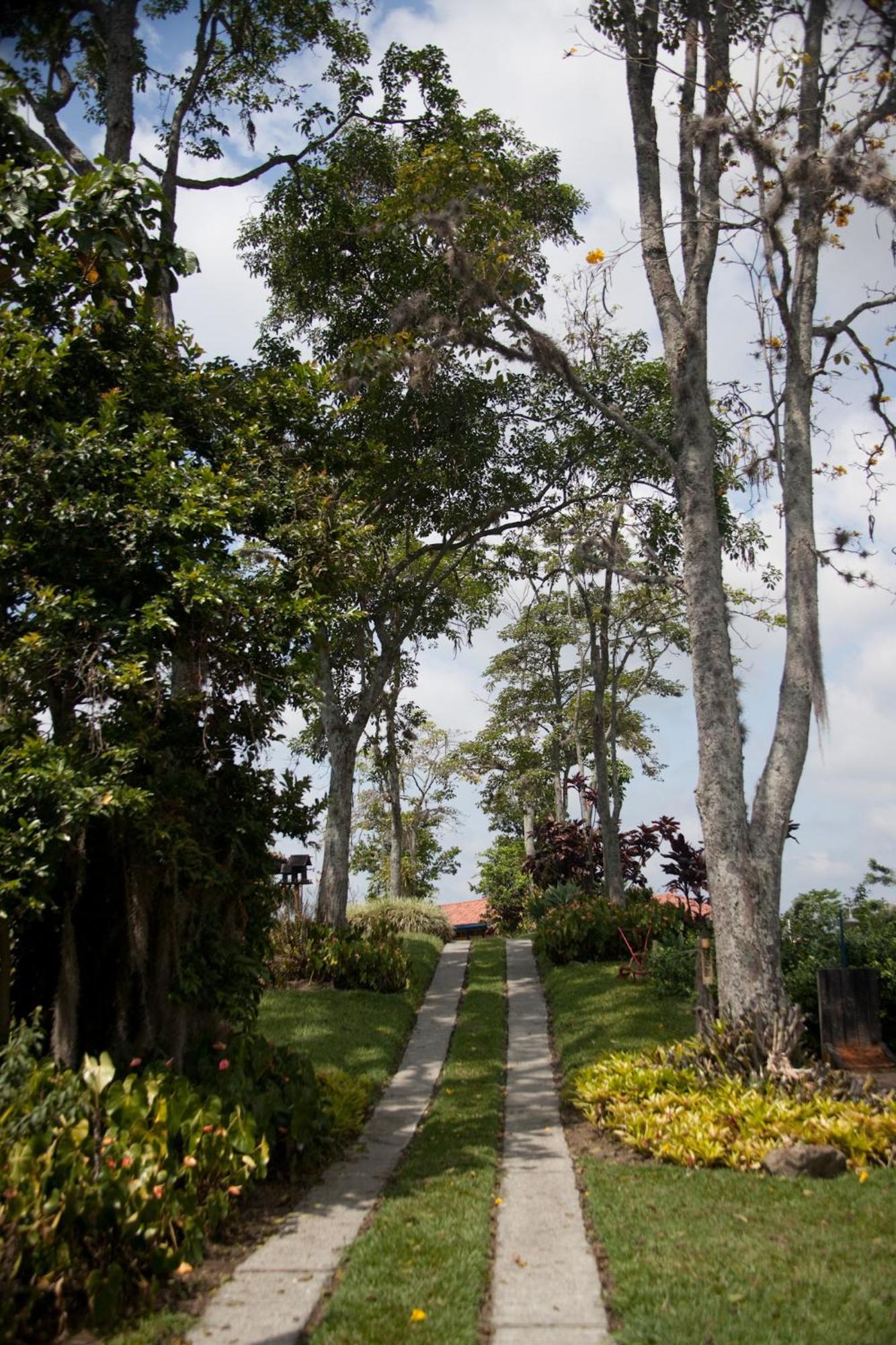 Finca Hotel Los Girasoles Montenegro Dış mekan fotoğraf